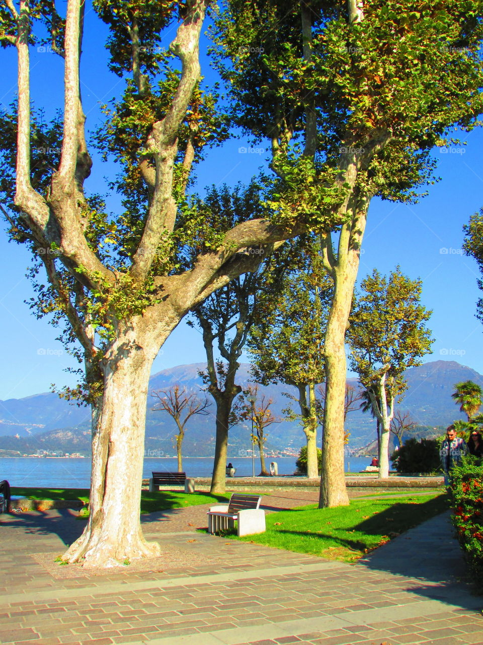 This walk along the lake under the trees represent the quiet and the atmosphere of this land in Italy