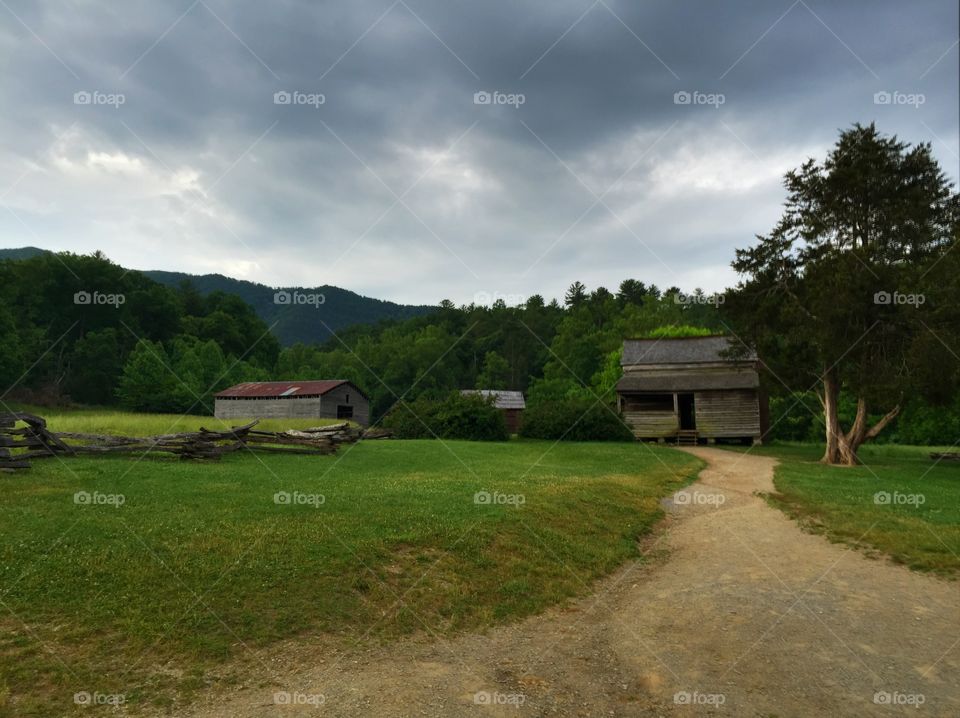 Cade's Cove 