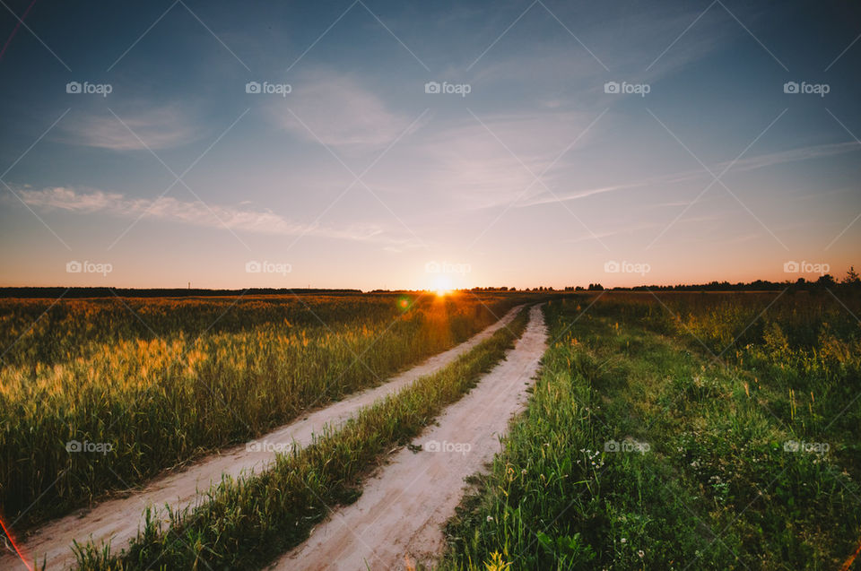 Country road in sunset