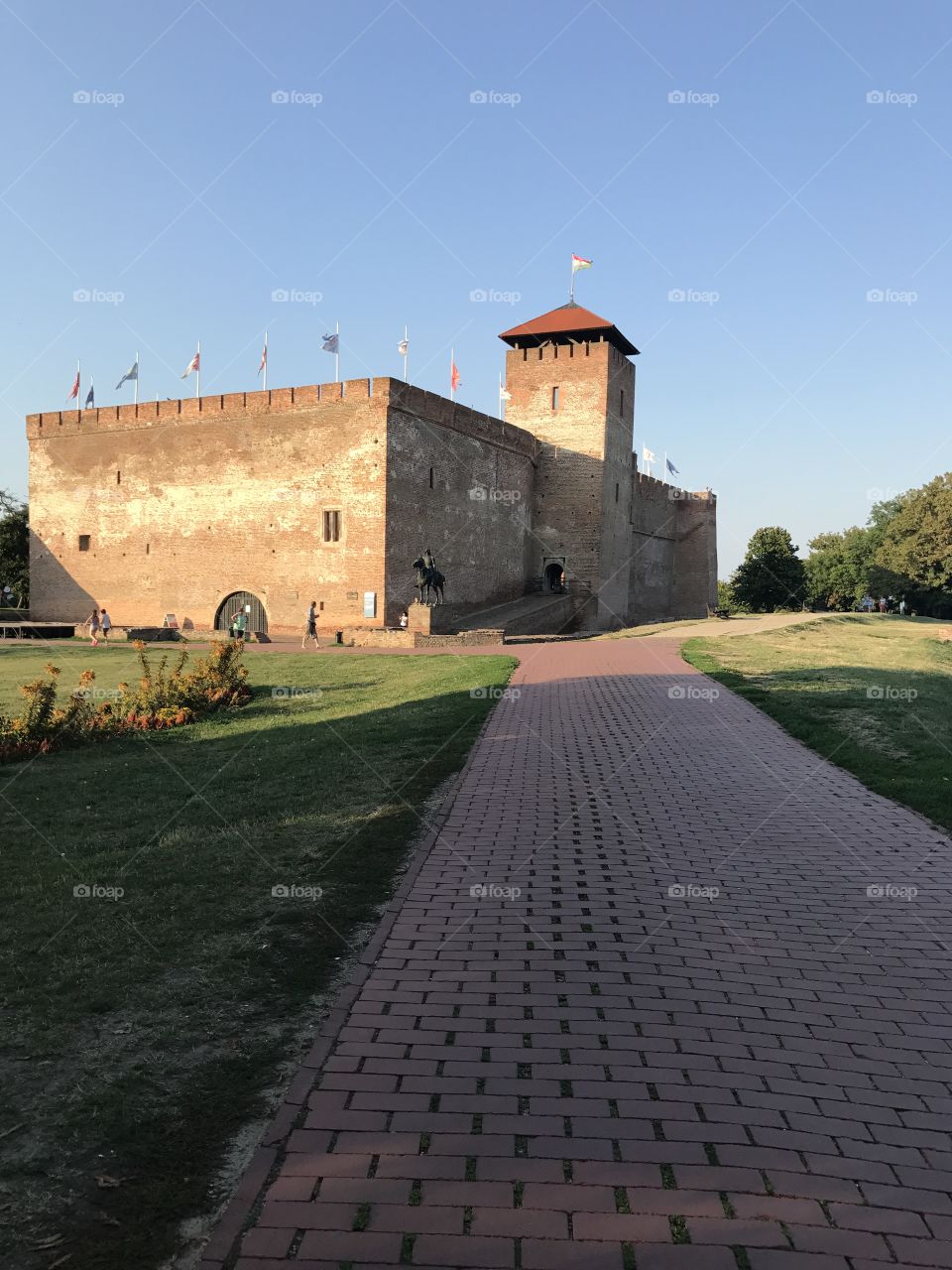 Castle 
Gyula
Hungary 