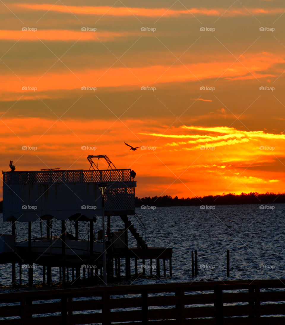 Boat dock silhouette in the magnificent sunset!
Pelican free styles over the Choctawhatchee Bay!