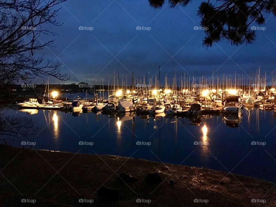 Harbour at night