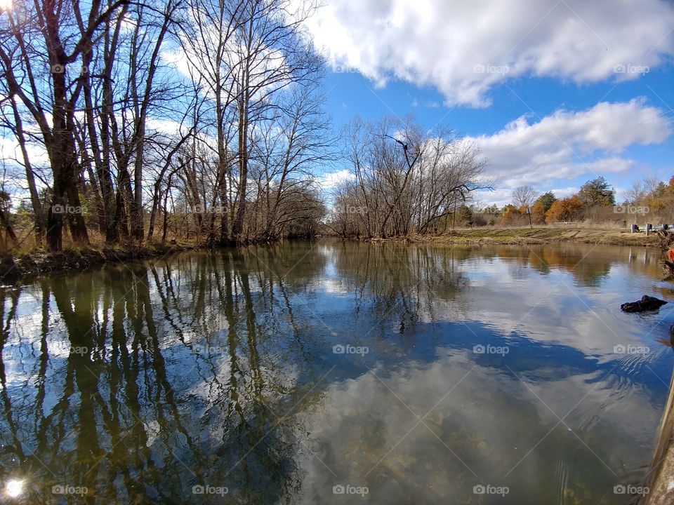 Reflection of bare trees and cloud on idyllic pond