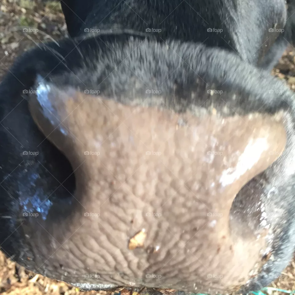 Up close!
