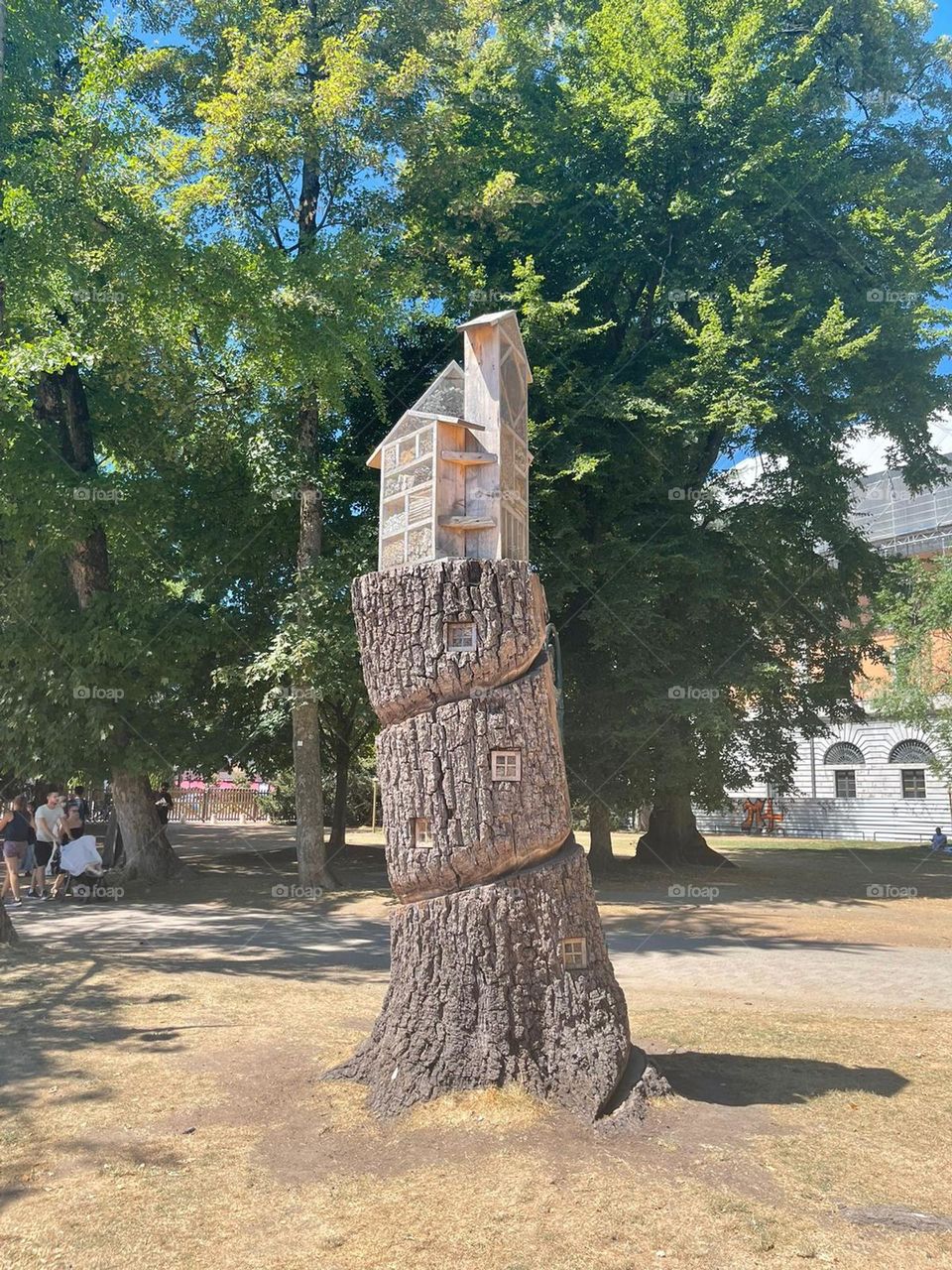 House on the top of trunk