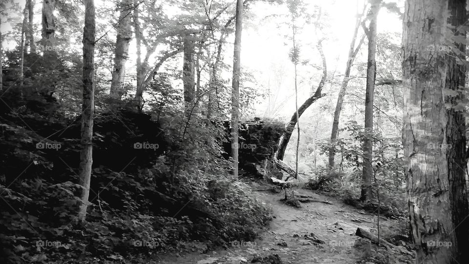 It's the simple things in nature life that makes us appreciate so much more to it's living life