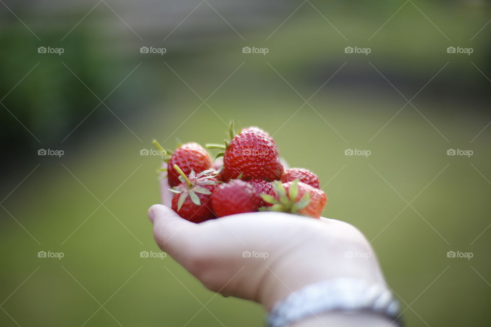 strawberries