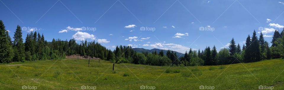 Carpathian mountains landscape