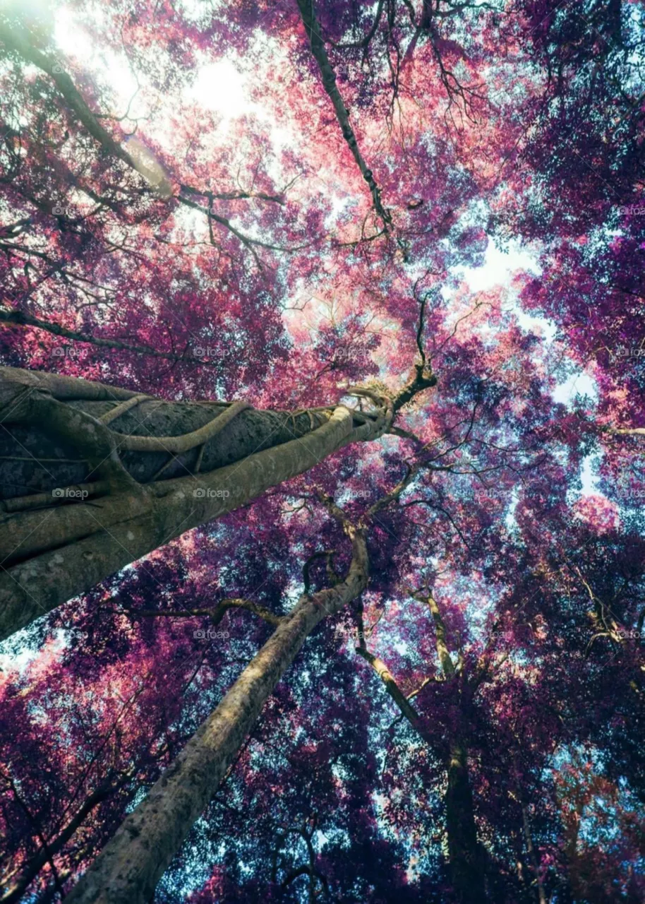 Amazing nature 