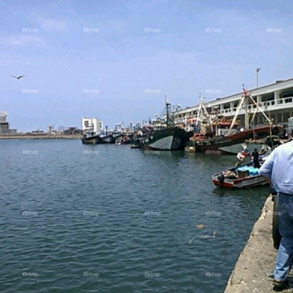 Casablanca . fishing  port