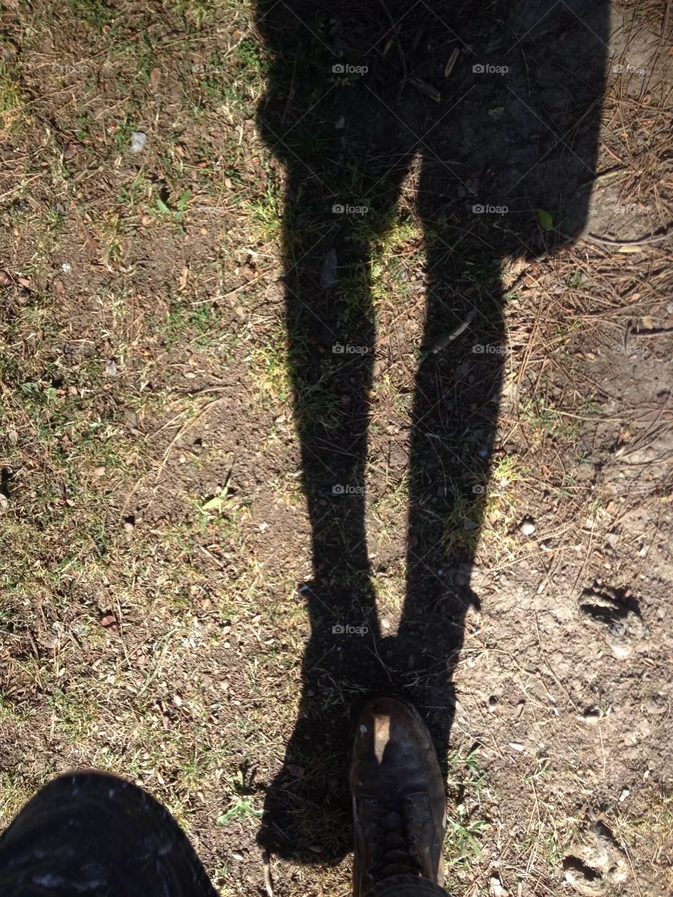 Walking shadow