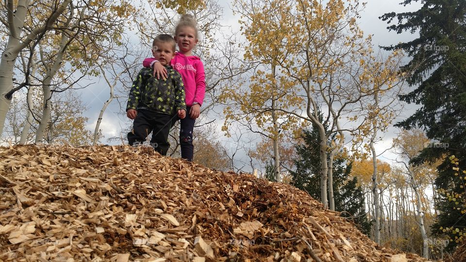 Siblings love. Brother and sister on the pile of wood chips. Not the only mountain they will climb together in the lifetime.