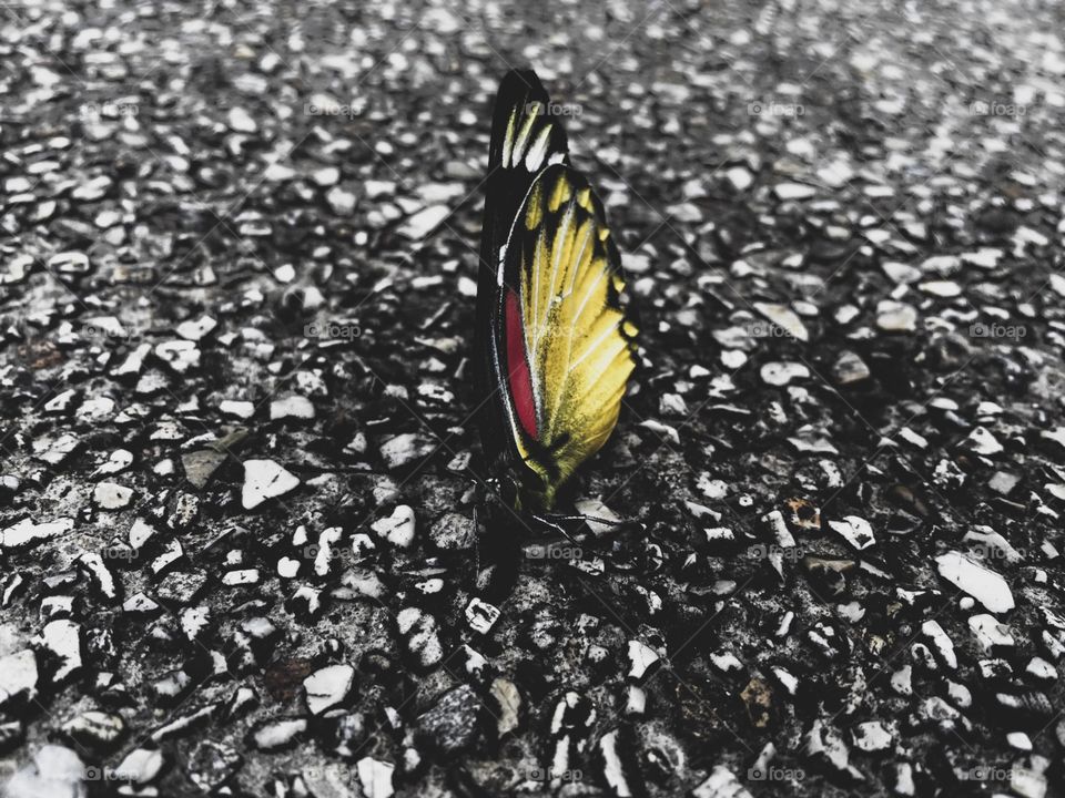 Difficult doesn’t mean impossible. It simply means that you have to work hard.