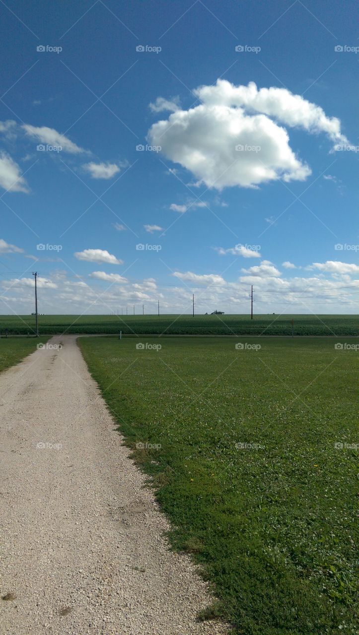 Landscape, Sky, No Person, Agriculture, Field