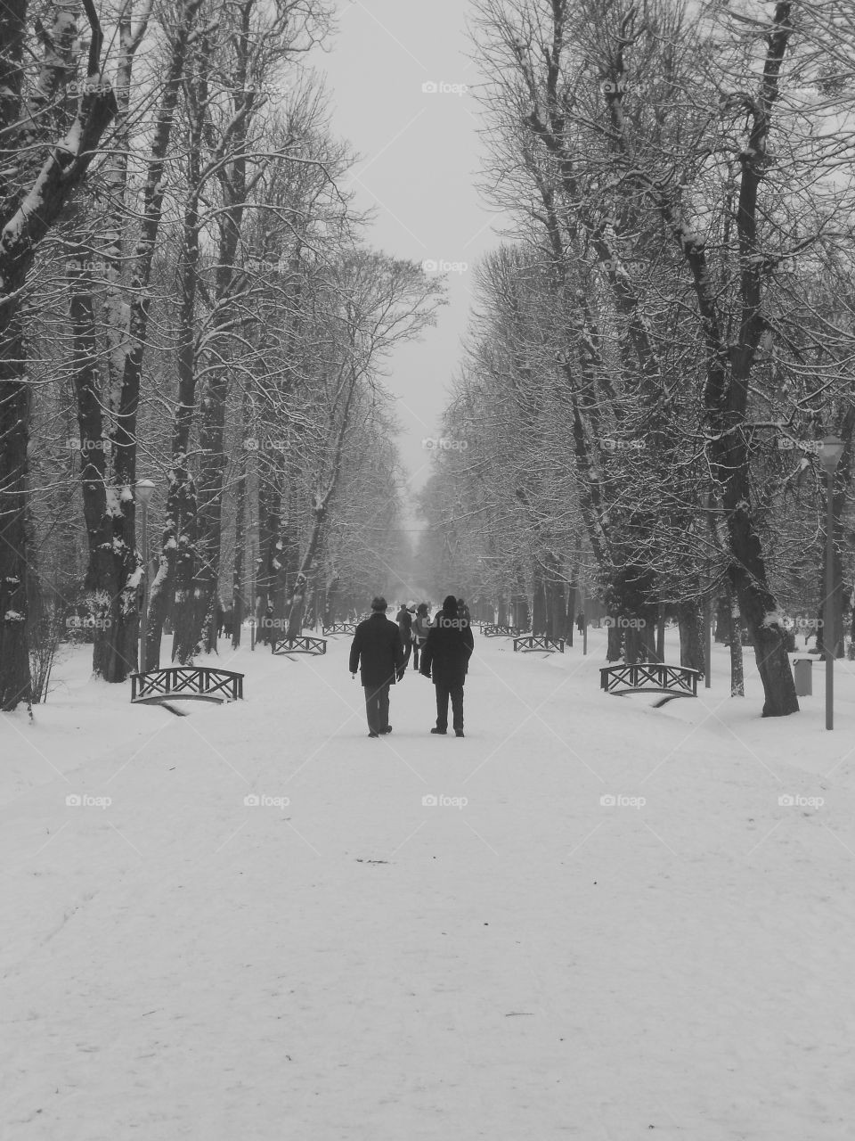 Old Men Walking in the Park