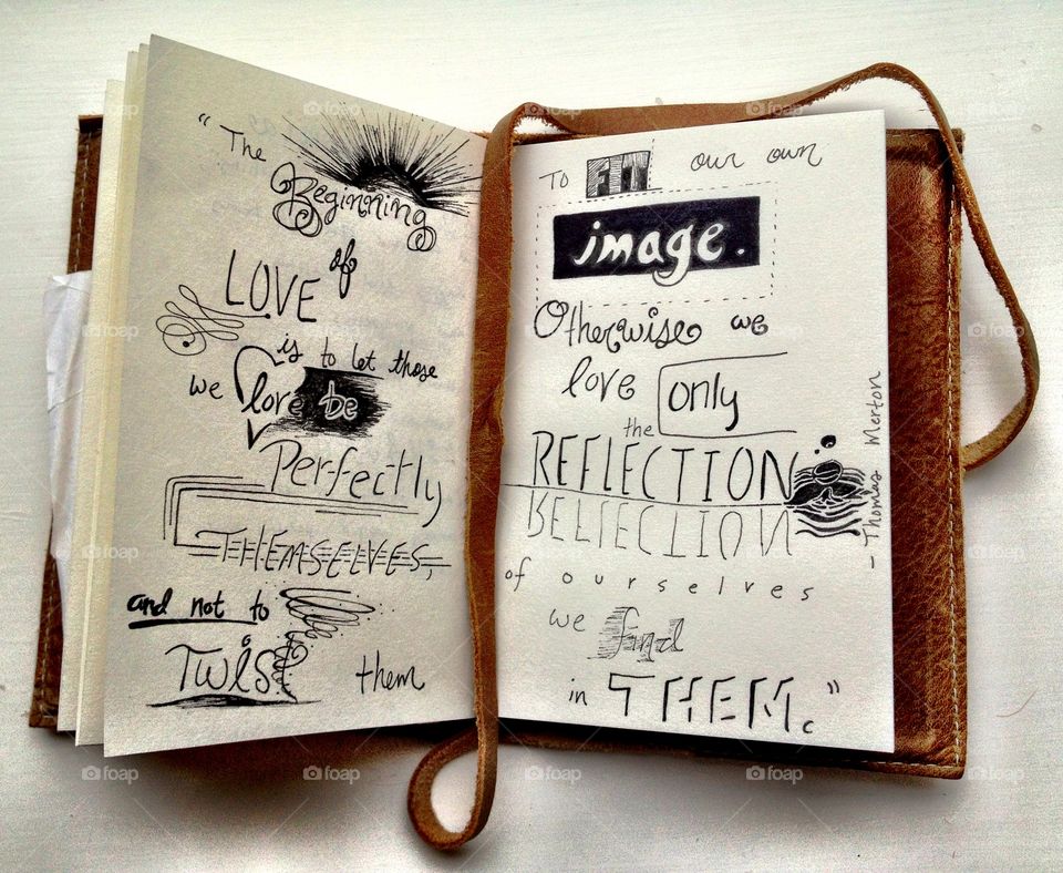 The Beginning of Love. Visual Diary