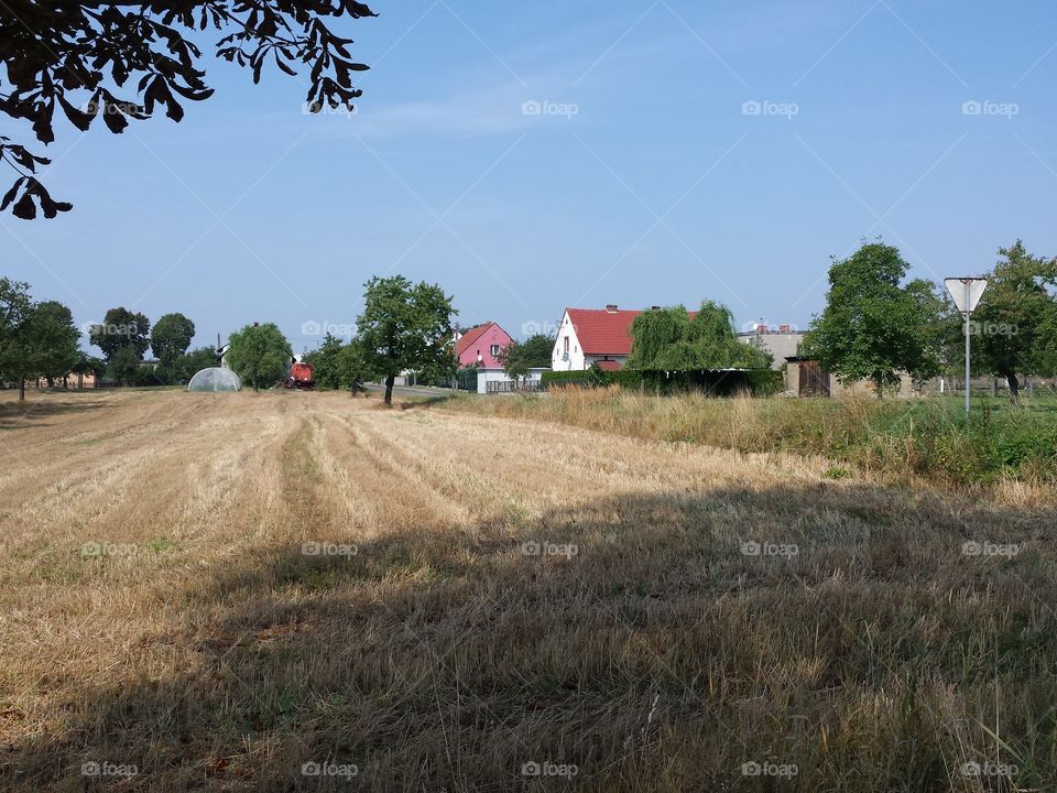 Agriculture, Farm, Landscape, Field, Cropland