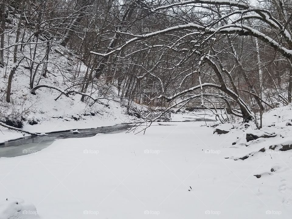 Fresh Snow Over Minneopa Creek