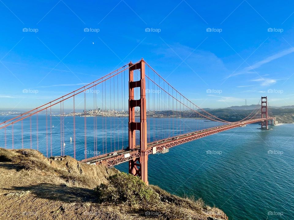 Golden gate
