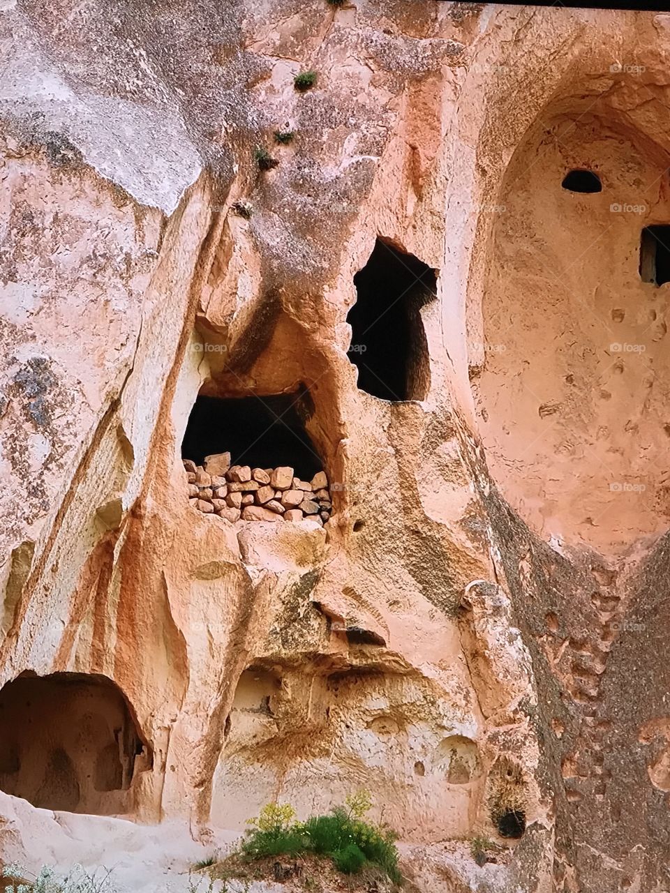 Awesome Turkey Mount