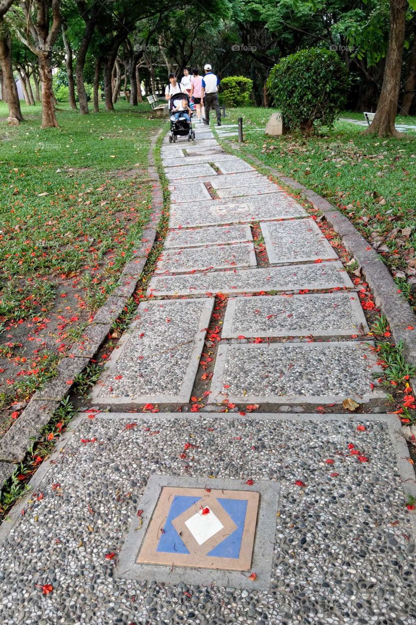 Shapes: rectangle. park pavement. find beautiful rectangle & square. people take a walk in distance. find a mother and child, red fallen flowers and rush grass.
