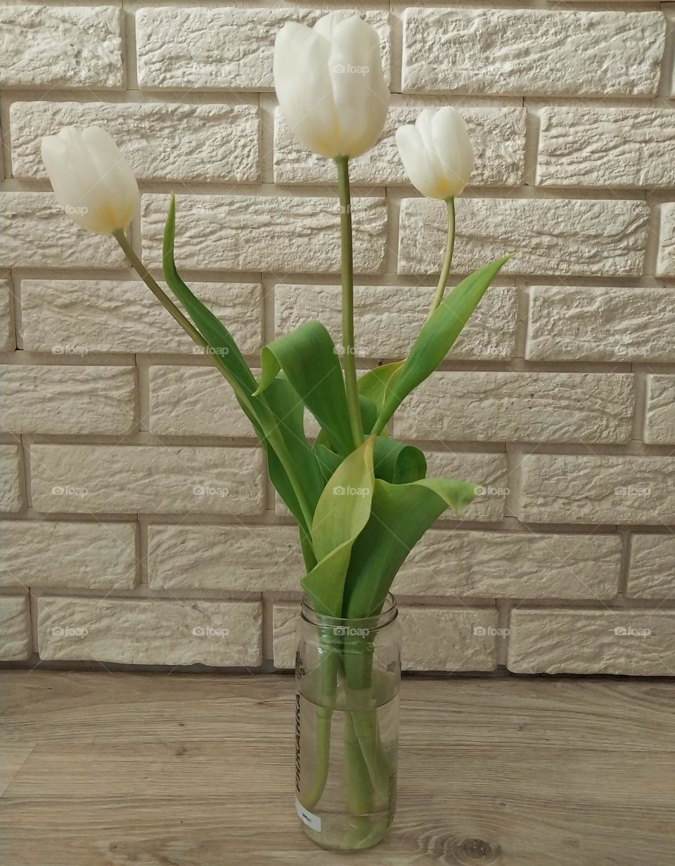 white tulips in a wase