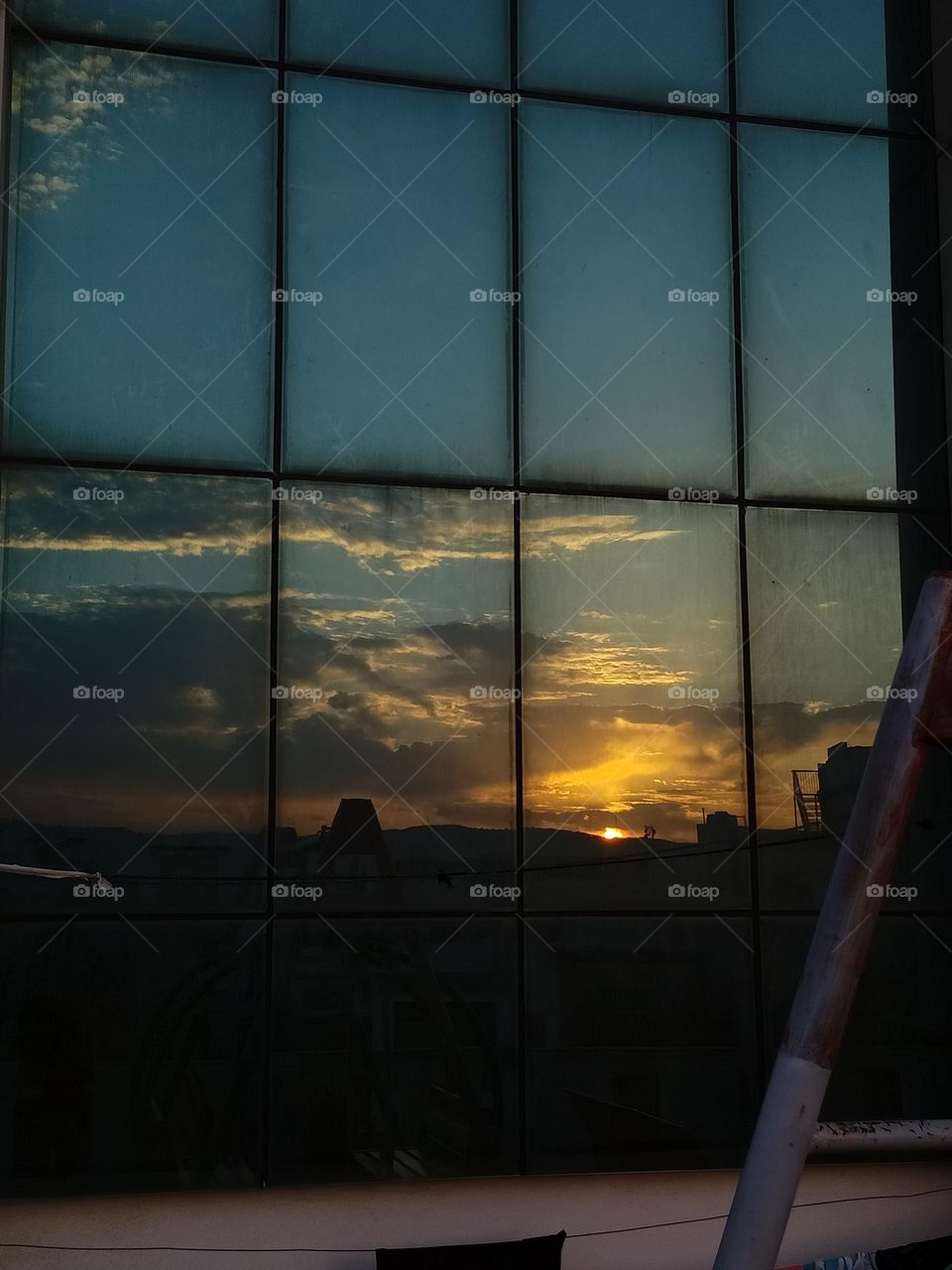 morning views reflected on glasses