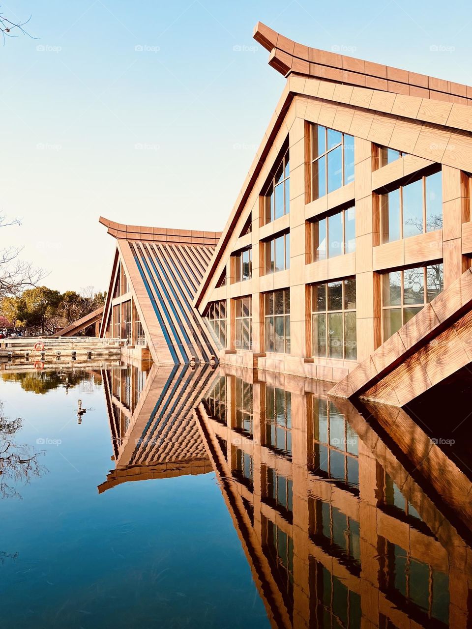 Reflection , shapes and edges