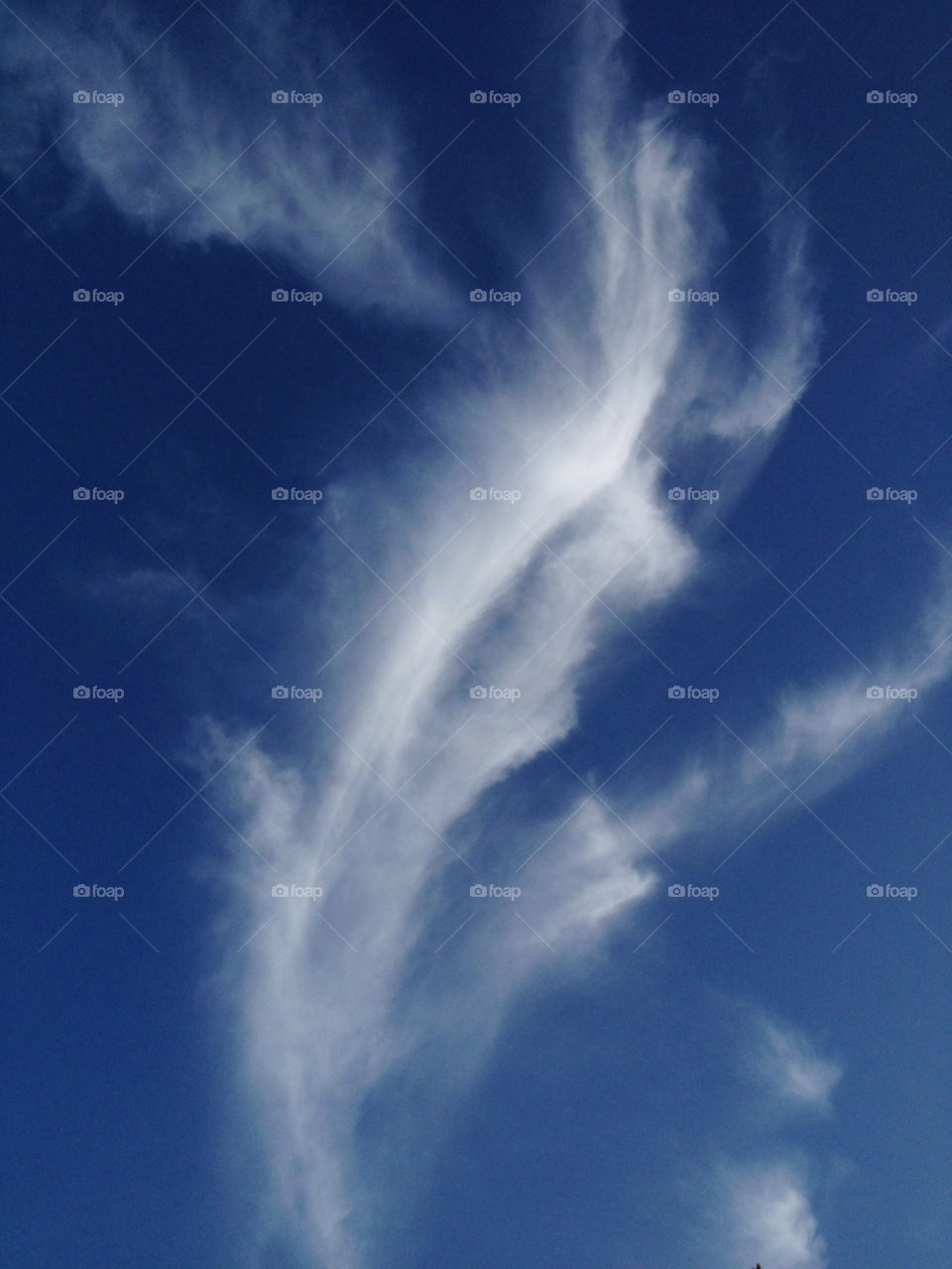 heaven cloud feather sweden by kalpex