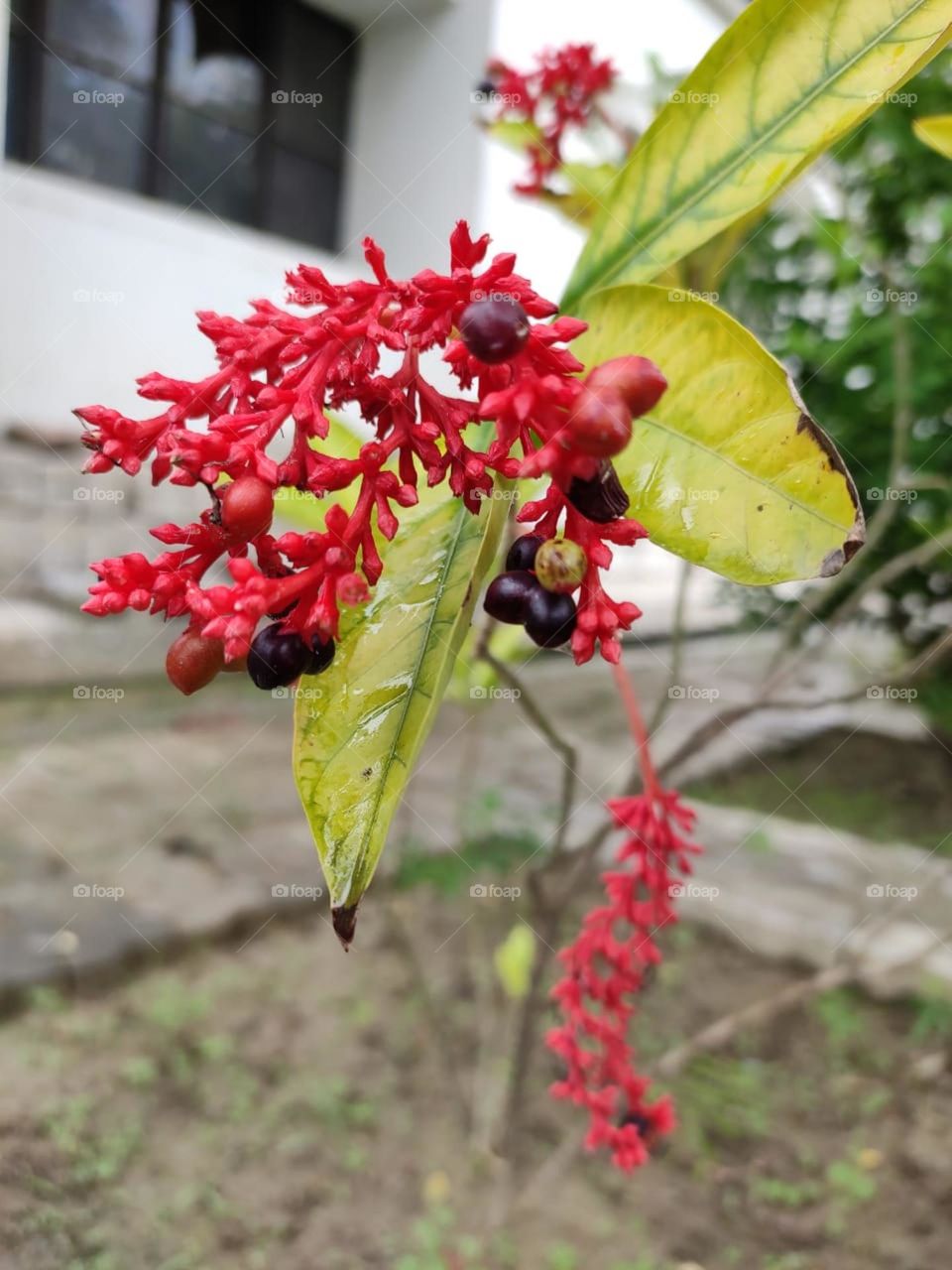 Nature never goes out of style