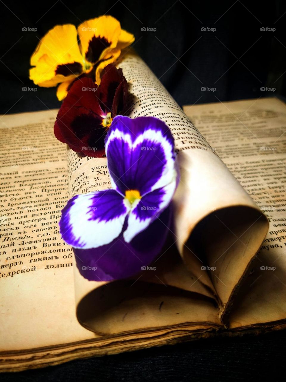 Flowers.  An open book, the pages of which are folded in the shape of a heart.  At the junction of the sheets are three forget-me-not flowers: white-violet, burgundy and yellow