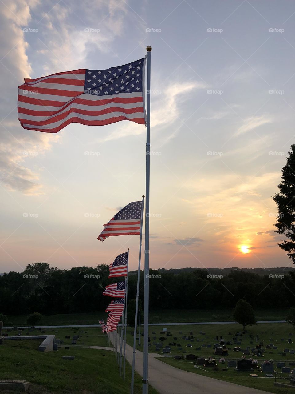 Memorial Day flags blowing in the wind at sunset