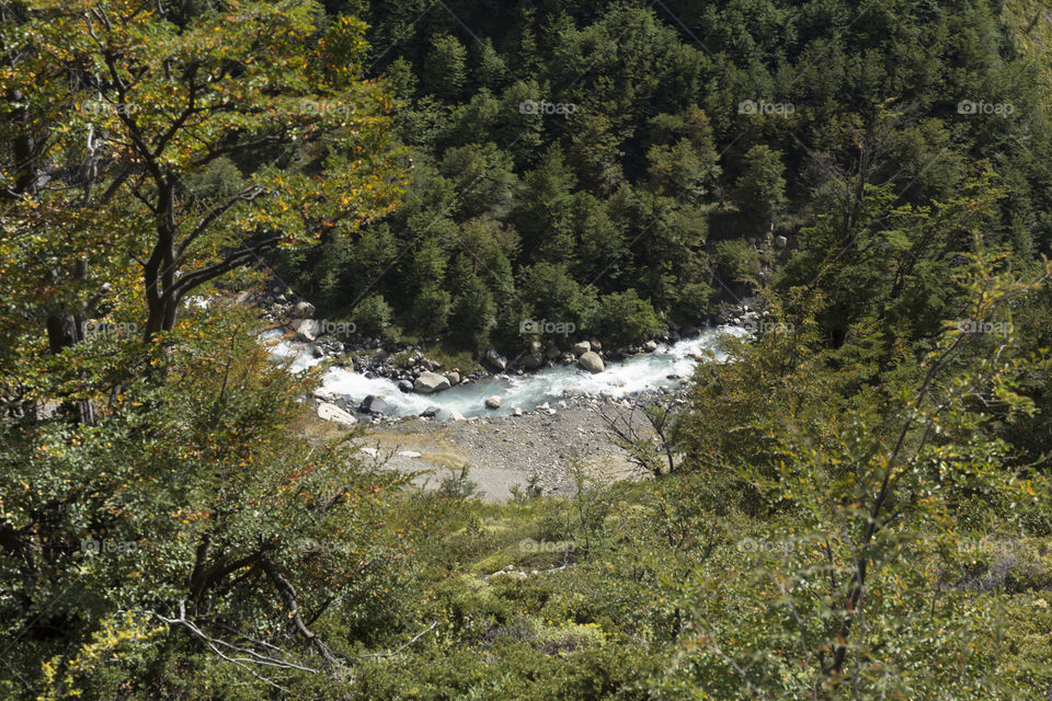 The river and the forest.