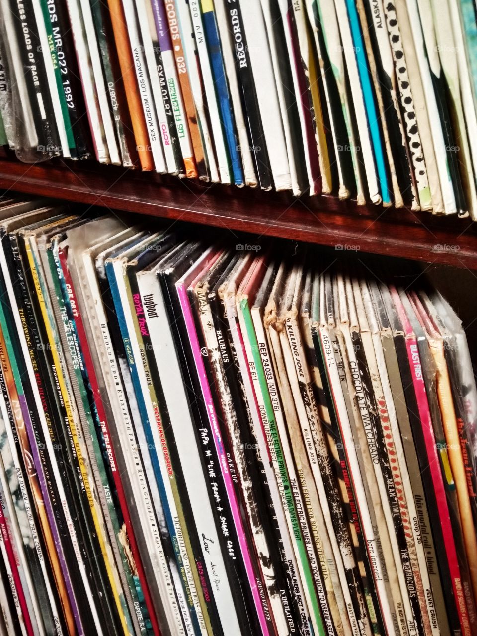vinyl records on a shelf