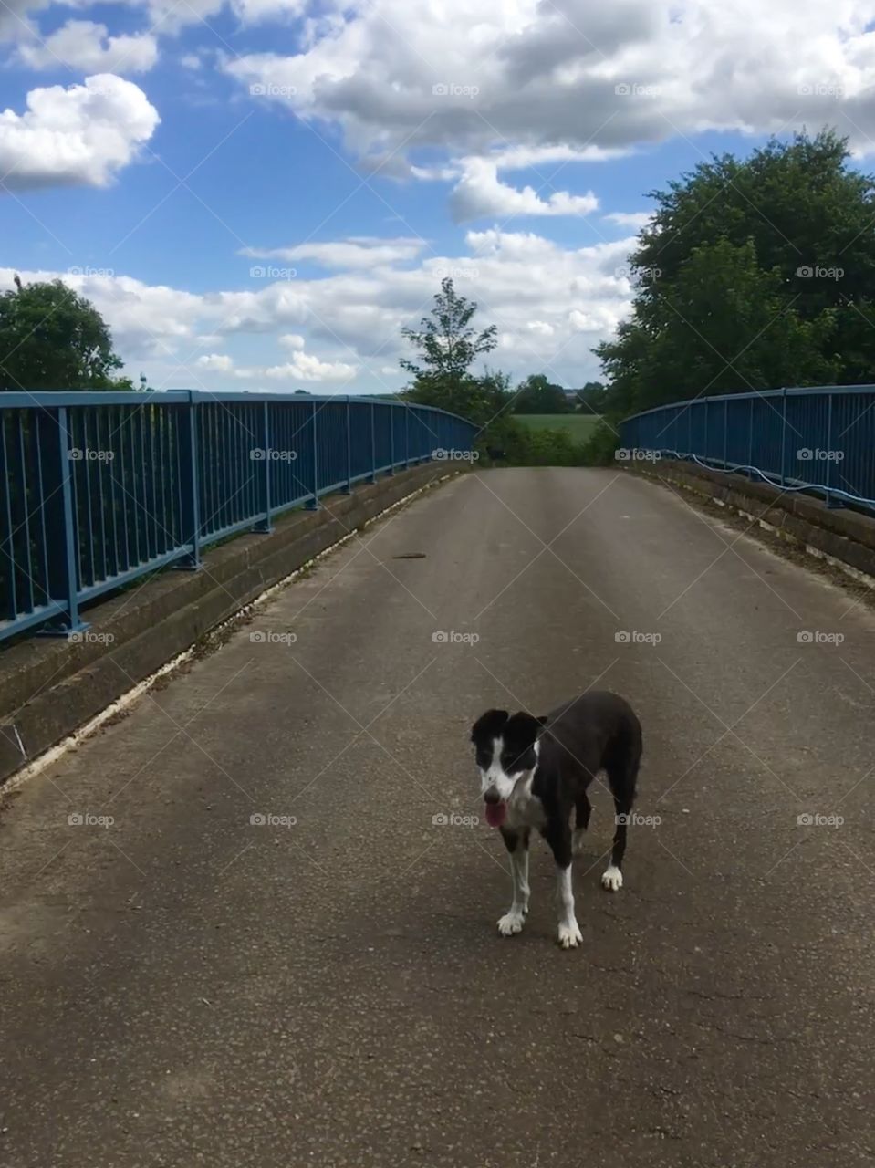 Bridge over troubled motorway. 