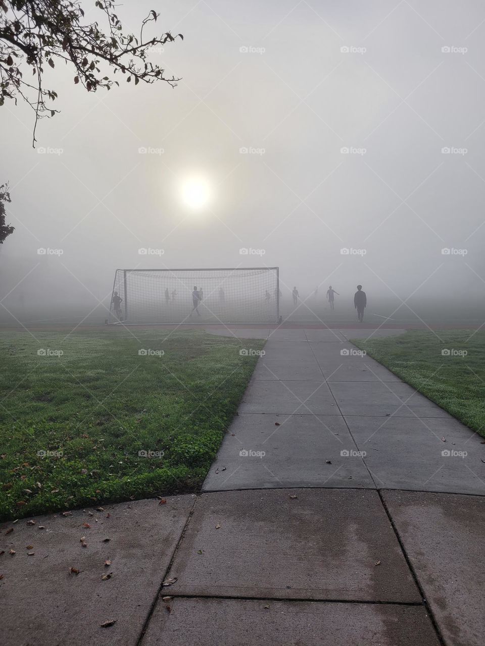 soccer in the fog