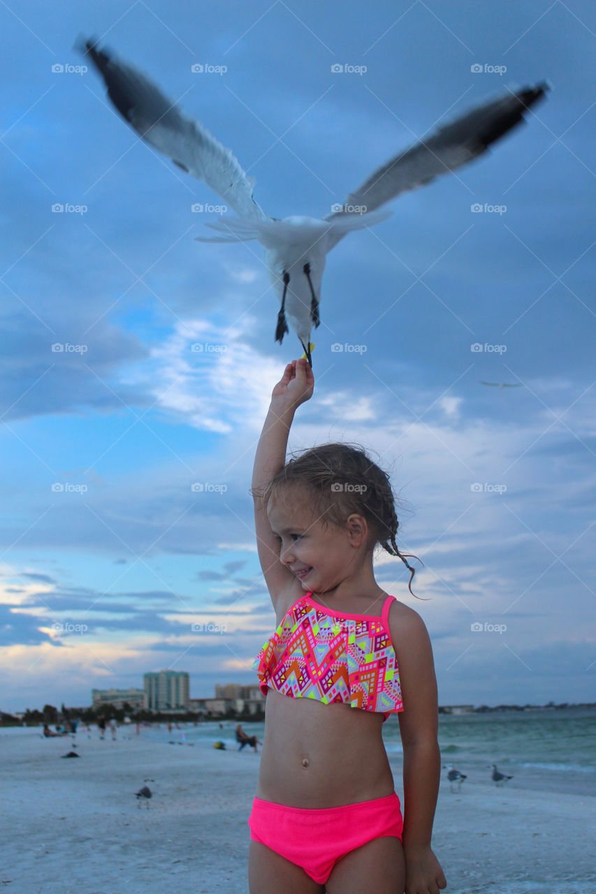 birds feeding