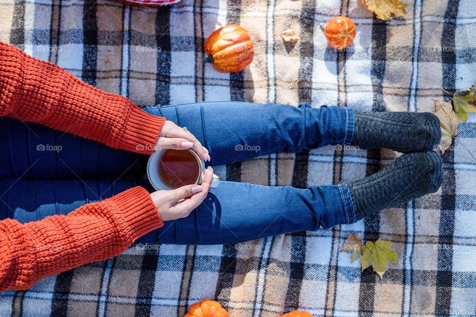 picnic in the park