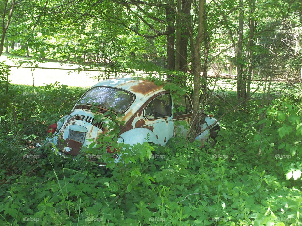 Here's something you won't see every day. This is a 1960's Volkswagen Beetle also found at an abandoned house in Wappingers Falls, NY with the Galant, 626, and Prelude.