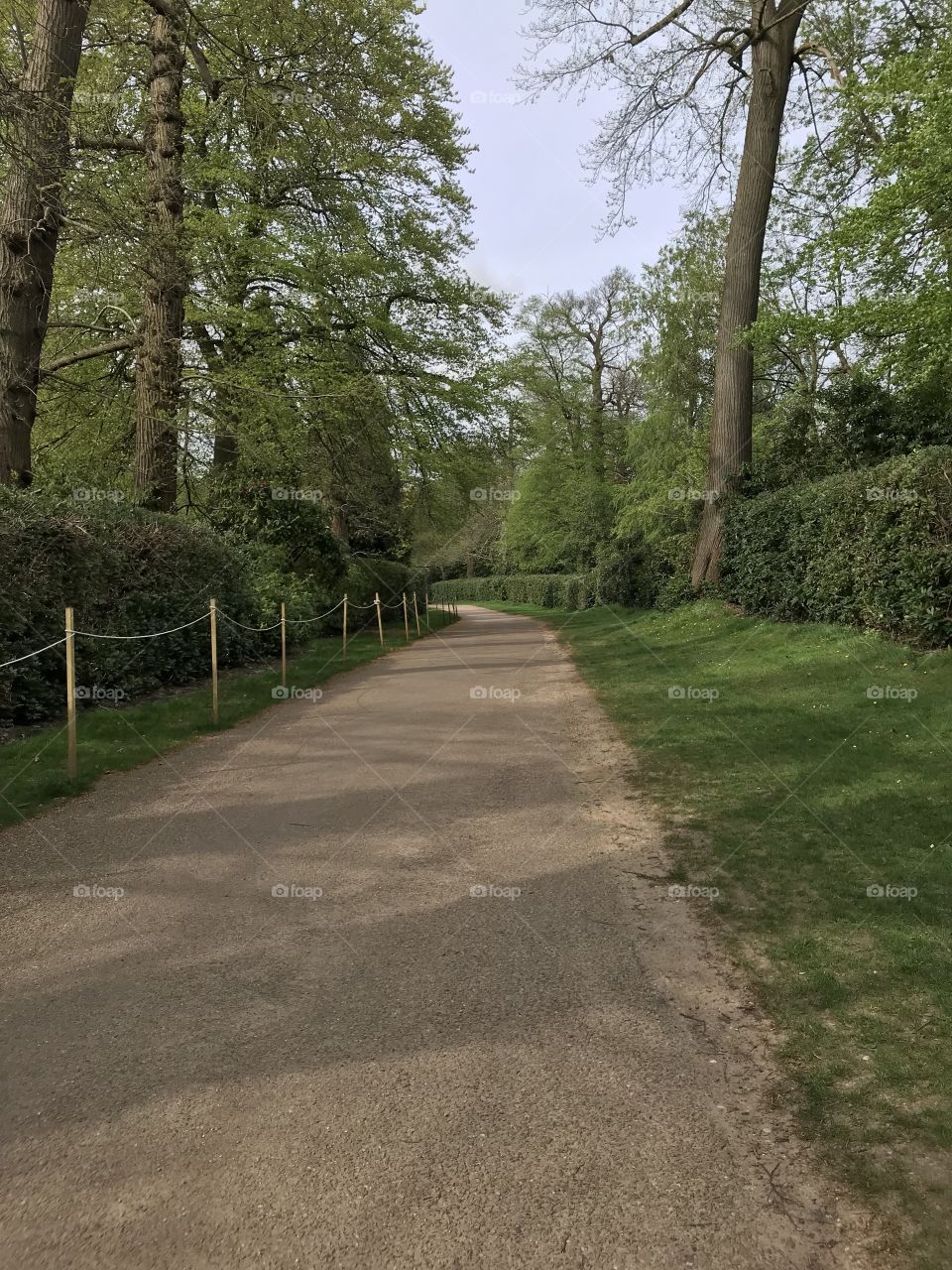 Walking in the green park, somewhere in England 