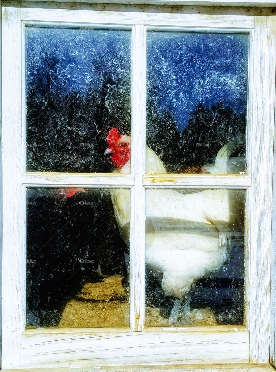 waiting for spring to come