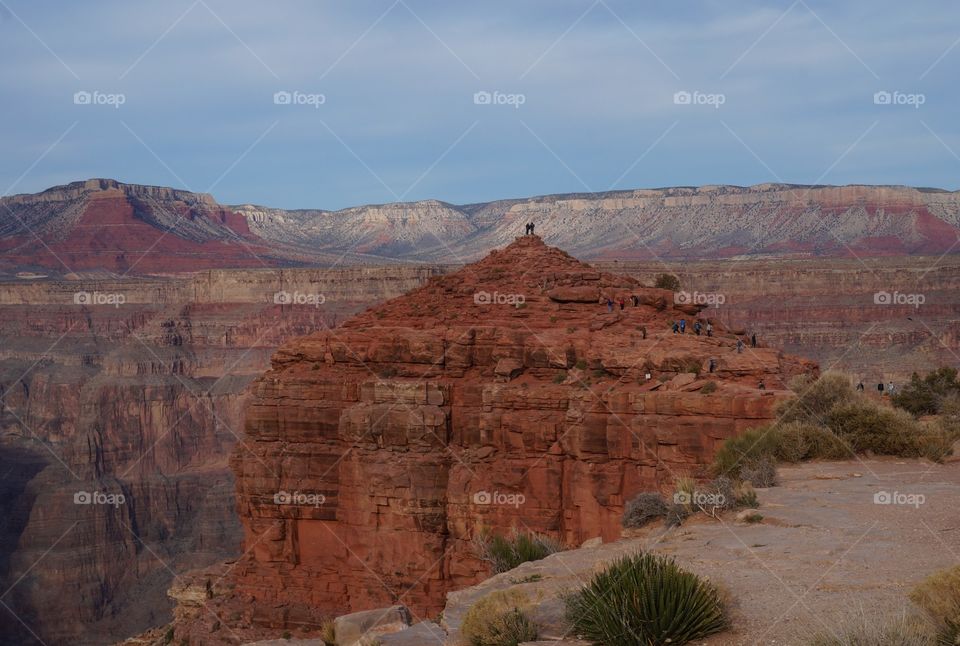 Setting sun golden hour light at the Grand Canyon.