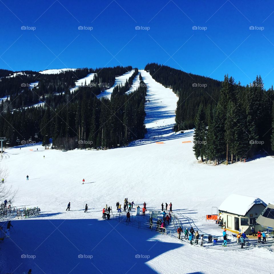 Sunny day on the mountain 