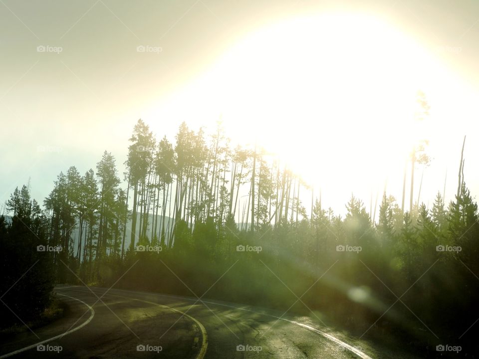 Sunrays on a country road 