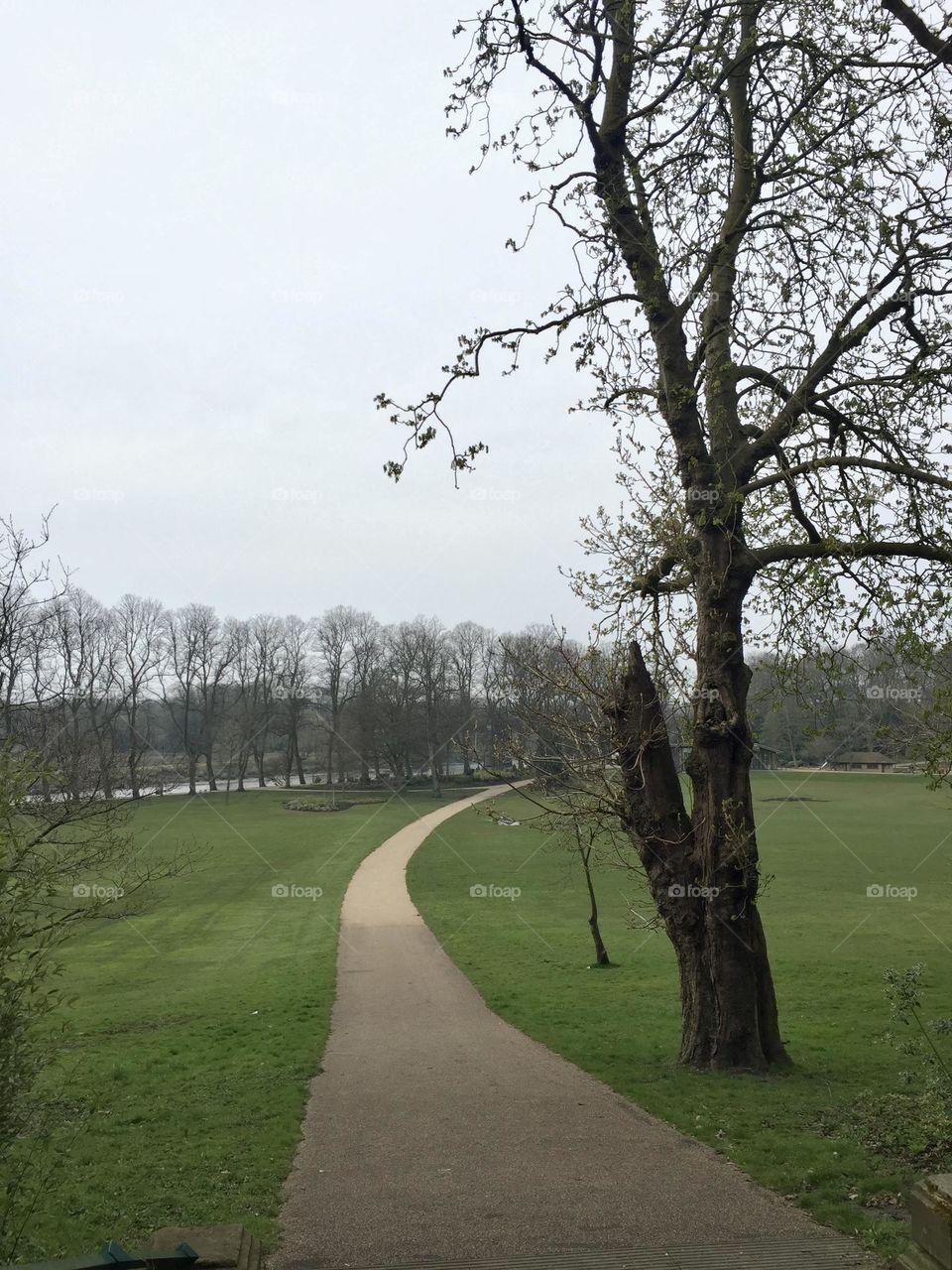 Pathway in a park 