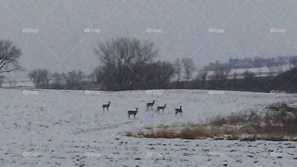 Winter, Snow, Weather, Water, Frozen