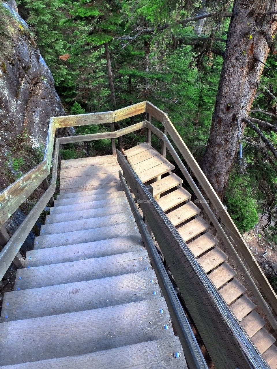 Long Walk for a Cup of Tea