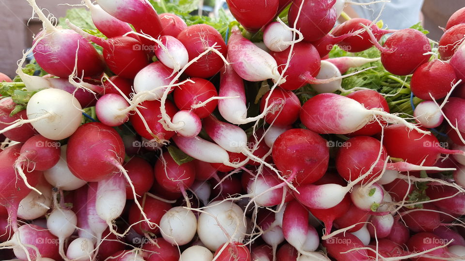 radishes