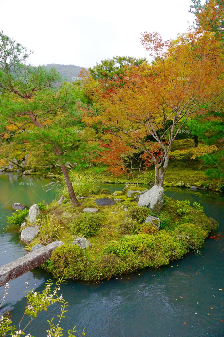 View of lake and autumn tree