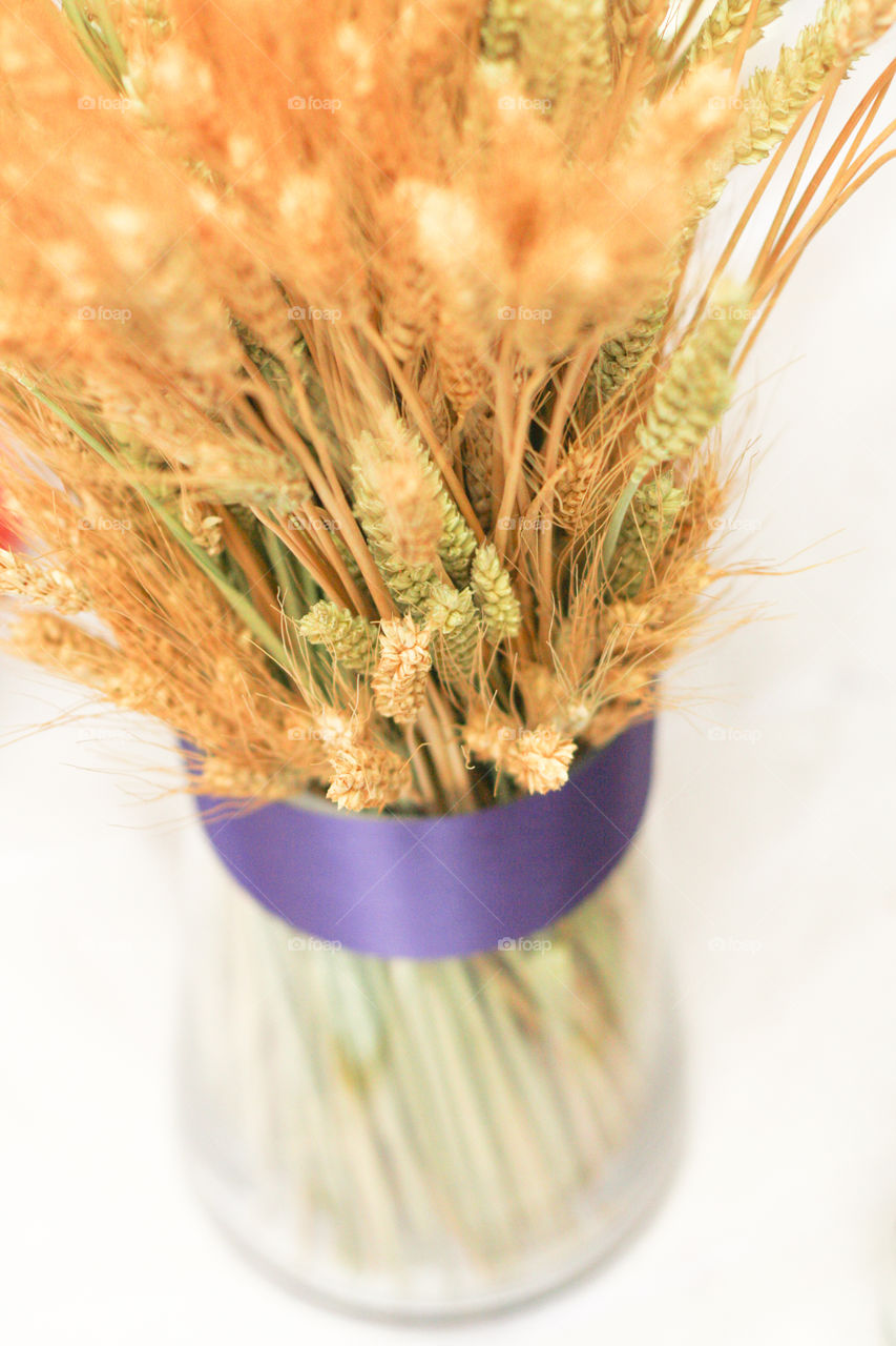 A vase filled with a bouquet of wheat